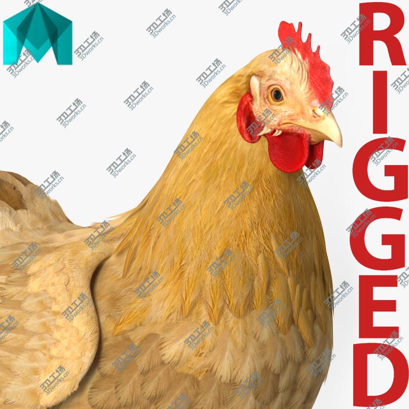 images/goods_img/202104022/Chicken Rigged for Maya 3D model/1.jpg